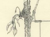 Ernesto Caivano Dibujos