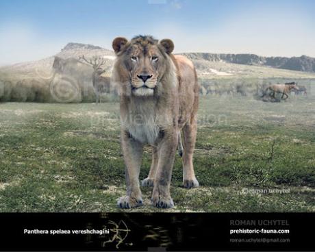 El león cavernario sí es distinto del león africano
