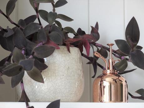 vivienda victoriana victorian scotish reno victorian house scotland tenement flats scotland architecture scandinavian style scandinavian decor reformas casa victoriana hogares de nuestros lectores estilo nórdico época Victoriana de Glasgow decoración nórdica casa en escocia vivienda victoriana victorian scotish reno victorian house scotland tenement flats scotland architecture scandinavian style scandinavian decor reformas casa victoriana hogares de nuestros lectores estilo nórdico época Victoriana de Glasgow decoración nórdica casa en escocia