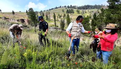 INICIAN JORNADAS DE REFORESTACIÓN 2020 EN ÁREAS NATURALES PROTEGIDAS Y PARQUES DEL EDOMÉX