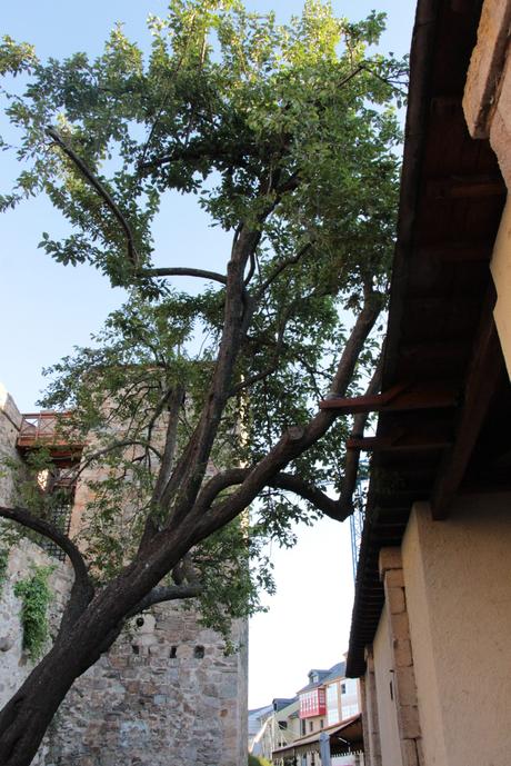 Los bomberos apuntalan el ciruelo de las cuadras del castillo de Ponferrada Los bomberos apuntalan el ciruelo de las cuadras del castillo de Ponferrada