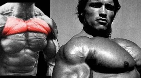 Los 6 mejores ejercicios de pecho superior para pecho más grande y fuerte ejercicios para pecho superior