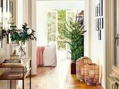 Normalmente pasillos considera únicamente co...