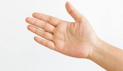 Cinco y no cuatro, dedos en Temnospóndilos Cinco y no cuatro, dedos en Temnospóndilos