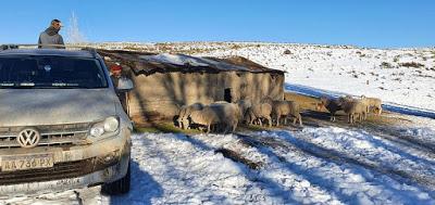 Audios sobre los trastornos provocados por la nevada en Neuquén y Río Negro