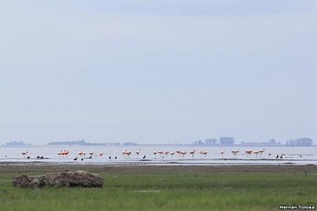 Laguna Melincué (Noviembre 2019)