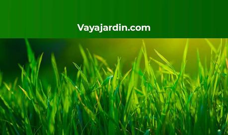 Pérgolas para casetas de verano según Vayajardin.com Pérgolas para casetas de verano según Vayajardin.com