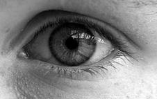 Trato o Truco en la España que se despuebla.. también de ideas