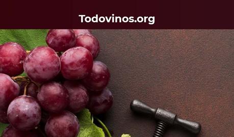 La función de las cápsulas de vino y su importancia según Todovinos.org