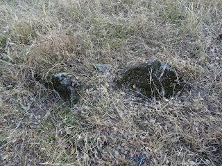 Imagen del mes: Dolmen del Alcornocón, o Juan Durán I, en San Vicente de Alcántara Imagen del mes: Dolmen del Alcornocón, o Juan Durán I, en San Vicente de Alcántara