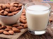 Como elaborar leche nueces