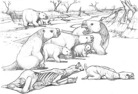 Perezosos gregarios: nueva evidencia