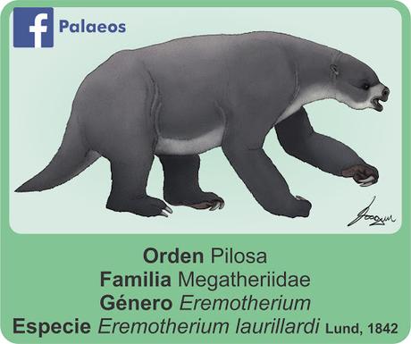 Perezosos gregarios: nueva evidencia Perezosos gregarios: nueva evidencia