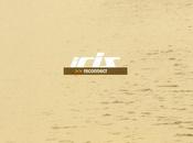 Iris reconnect (2003)