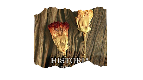 Historia de una Voluntad de Nacho Escario