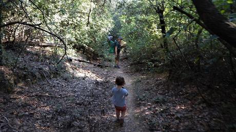 De La Floresta a Valldoreix | Serra de Collserola