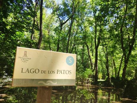 lago-patos -monasterio-piedra