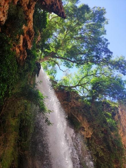 cola-caballo-cerca-monasterio-piedra 