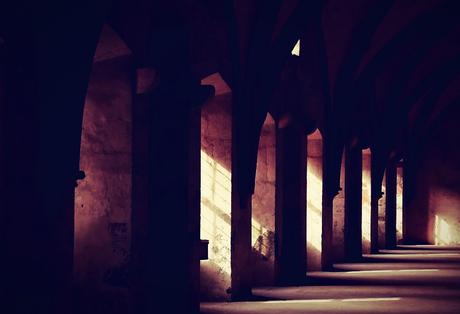 JAQUE QUE NO MATE A REY, POR AHORA