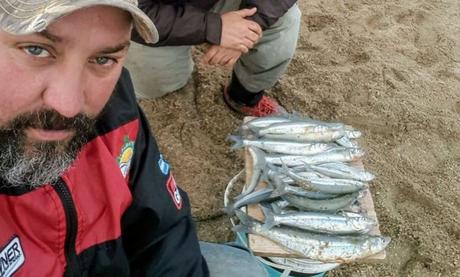 Pejerreyes panzones: los que más abundan en la playa de Miramar