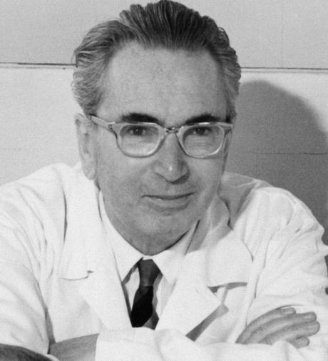 Viktor Frankl - Wikipedia, la enciclopedia libre