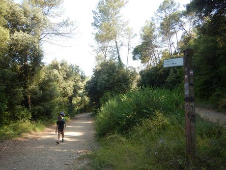 De La Floresta al Baixador de Vallvidrera | Serra de Collserola