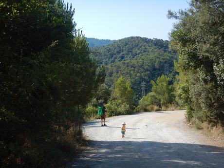 De La Floresta al Baixador de Vallvidrera | Serra de Collserola