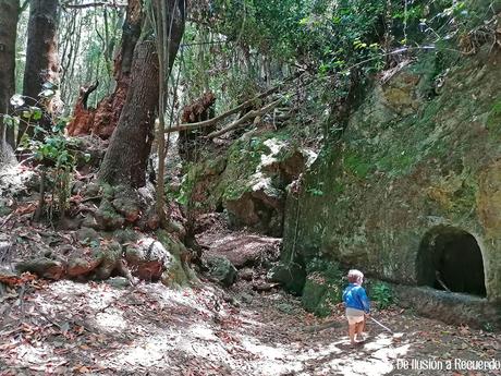 El sendero de los Guardianes Centenarios es una ruta ideal para hacer con niños.