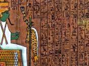 Egipto Organización