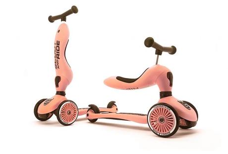 Scoot and Ride Highwaykick 1