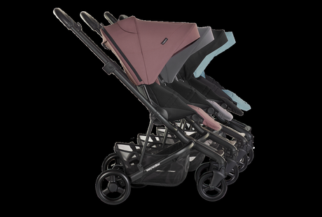 easywalker Charley 2020