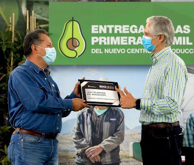 ENTREGA ALFREDO DEL MAZO 25 MIL PLANTAS DE AGUACATE DEL NUEVO CENTRO DE PRODUCCIÓN DEL EDOMÉX ENTREGA ALFREDO DEL MAZO 25 MIL PLANTAS DE AGUACATE DEL NUEVO CENTRO DE PRODUCCIÓN DEL EDOMÉX