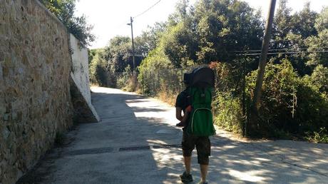 De Baixador de Vallvidrera al Peu del Funicular | Serra de Collserola