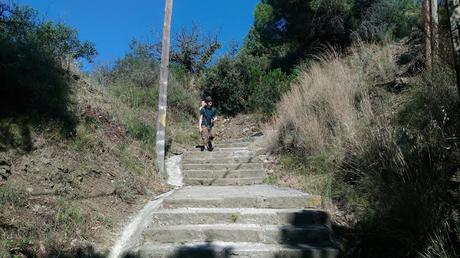 De Baixador de Vallvidrera al Peu del Funicular | Serra de Collserola