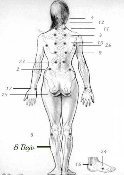 Remedios Naturales para el Dolor de Menstruacion Remedios Naturales para el Dolor de Menstruacion