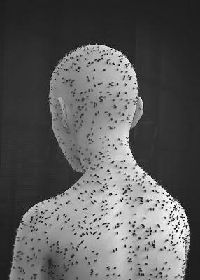 Maltrato médico.     Abuse of health profesisonals.     濫用健康專業人士