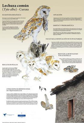 Sorpresa en la chimenea