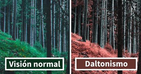 ¿Como John Dalton descubrió el daltonismo?
