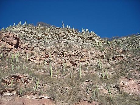 Valles Calchaquíes, Salta. Argentina Valles Calchaquíes, Salta. Argentina