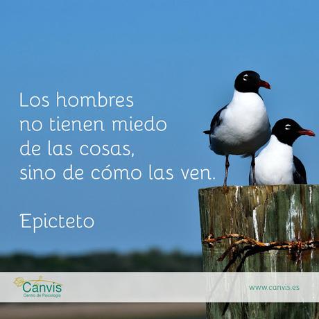 La Perspectiva y la Disposición al Aprendizaje La Perspectiva y la Disposición al Aprendizaje