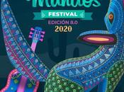 VIII Festival Villar Mundos llega finales actividades físicas virtuales