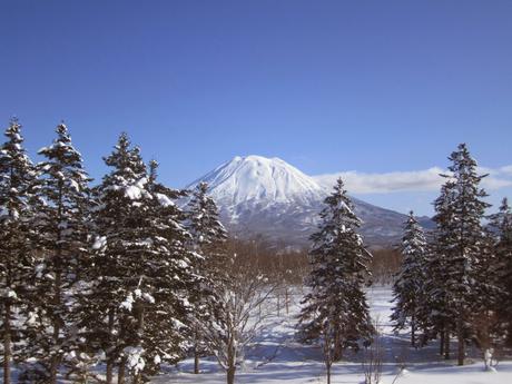 Niseko