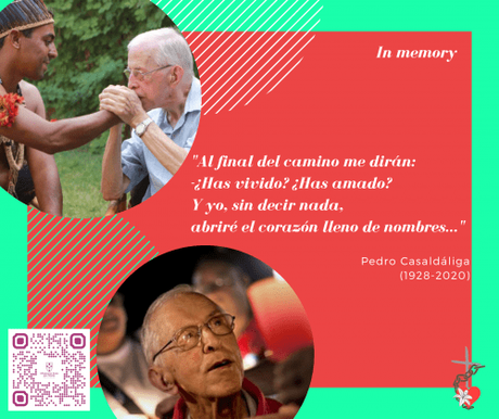 Pedro Casaldáliga: frases y causas