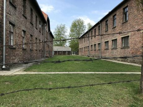 Auschwitz-Birkenau: el campo del horror