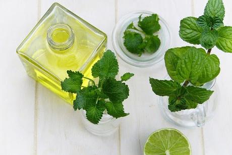 ¿Puede el aceite de menta ayudarle a aliviar el síndrome del intestino irritable? ¿Puede el aceite de menta ayudarle a aliviar el síndrome del intestino irritable?