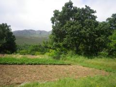 Aprovechamiento del agua en la Sierra Norte