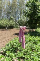Aprovechamiento del agua en la Sierra Norte
