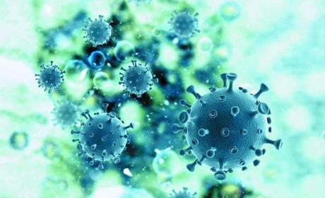Coronavirus en el Mundo: más de 20 millones de infectados y 733.000 muertos