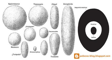 Los huevos de dinosaurio más pequeños del Mesozoico