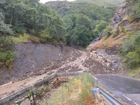 Un rama de gran tamaño cae sobre la acera de la avenida de Asturias y nuevo corte en la Carretera de Peñalba